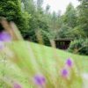 Weekend Yoga retreat - Shropshire - Image 14