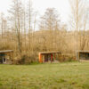 Weekend Yoga retreat - Shropshire - Image 19