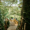 Weekend Yoga retreat - Shropshire - Image 2